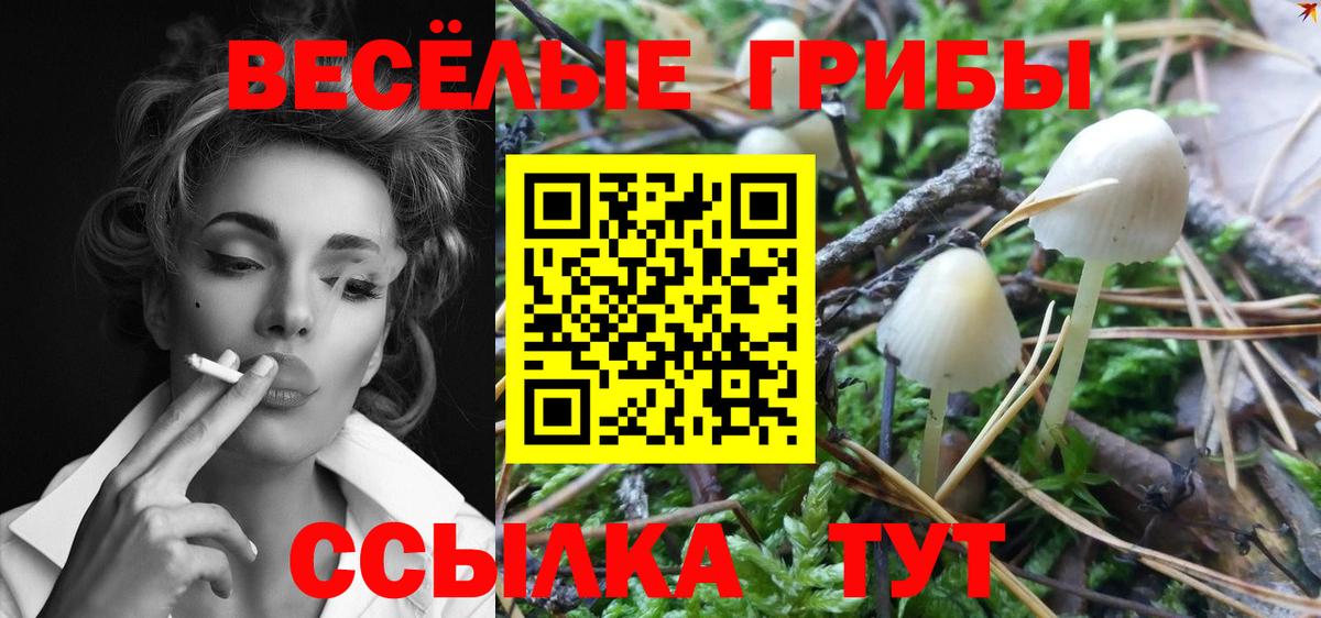 Псилоцибиновые грибы Cubensis Петровск
