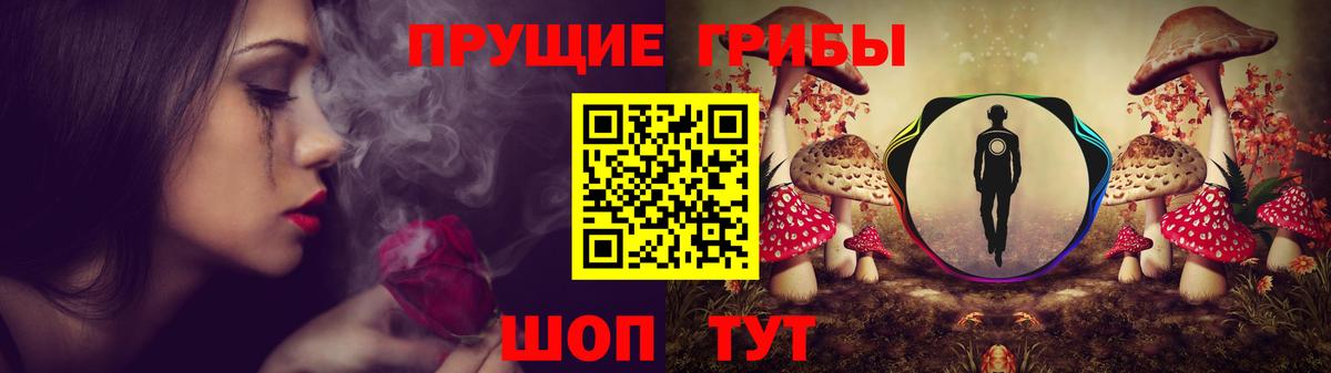 Петровск  Галлюциногенные грибы Cubensis  Вход с VPN 
